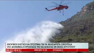 Εντατικοί έλεγχοι και πρόστιμα για τα ακαθάριστα οικόπεδα-Στο κόκκινο η προστασία της Καλαμάτας