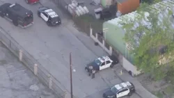 K9 officer survives shooting in Compton