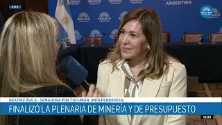 INTERVIEW WITH SENATOR BEATRIZ ÁVILA - JOINT COMMITTEE ON MINING, ENERGY AND BUDGET 09/03/26