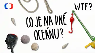 Proč zůstává 70 % Země neobjeveno? | What the Fact?