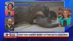 2 NEWS NOW - Jan. 21, 2026