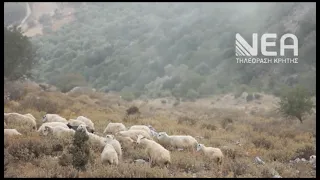 ΑΑΔΕ ΚΡΗΤΗ ΜΑΖΙΚΟΣ ΕΠΙΤΟΠΙΟΣ ΕΛΕΓΧΟΣ ΑΓΡΟΤΙΚΕΣ ΕΠΙΔΟΤ