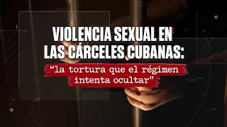 Sexual violence as torture