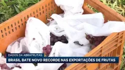 Brasil bate novo recorde nas exportações de frutas, aponta Abrafrutas