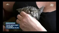 Você já ouviu falar em guarda compartilhada de animais de estimação?