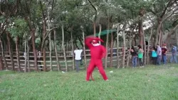 De Aventura - Carnaval de Solteros de Juan Rosas De Aventura - Carnaval de Solteros de Juan Rosas