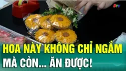 8/3 tặng Hoa … ăn được! | BTV - TRUYỀN HÌNH BÌNH DƯƠNG