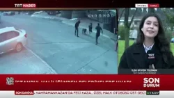 İstanbul Valiliği'nden İBB ve ilçe belediyelerine 'başıboş sokak köpeği' uyarısı