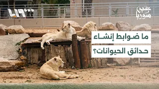 Monkeys Escaping from Zoos in Syria.. Who Bears the Legal Responsibility?