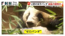 「バイバーイ」「元気でね」上野動物園の双子パンダに別れ…最終観覧は倍率24.6倍 2頭返還で日本は54年ぶりに“ゼロパンダ”に 「バイバーイ」「元気でね」上野動物園の双子パンダに別れ…最終観覧は倍率24.6倍 2頭返還で日本は54年ぶりに“ゼロパンダ”に