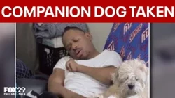 North Philadelphia family searching for stolen companion dog