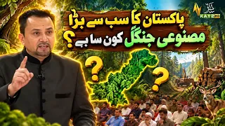 Which Is the Largest Artificial Forest in Pakistan? | Learn Interesting Facts