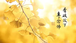 淨空老法師｜大經專修（二）｜什麼都不要放在心上-第0137集