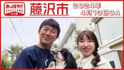 あっぱれ！KANAGAWA大行進 2024年4月13日放送 藤沢市