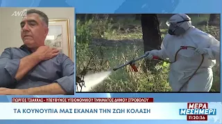 Τα κουνούπια έκαναν τη ζωή των πολιτών «κόλαση» - Δηλώσεις Τσιάκκαγια Δήμο Στροβόλου