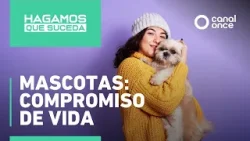 Hagamos que Suceda - Mascotas: Compromiso de vida (04/04/2026) Hagamos que Suceda - Mascotas: Compromiso de vida (04/04/2026)