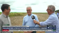 Academia chinesa visita campo de ILPF no Mato Grosso