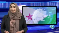 Le Focus de la semaine - français 27/02/2026