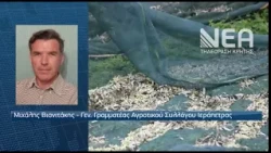 ΚΡΗΤΙΚΟ ΕΛΑΙΟΛΑΔΟ ΕΚΤΙΜΗΣΕΙΣ ΓΙΑ ΠΑΡΑΓΩΓΗ ΚΑΙ ΤΙΜΗ