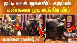 முட்டி AIR-ல் பறக்கவிட்ட கருப்பன்.. கண்களை மூடி அடக்கிய வீரர் - Goosebumps காட்சி...
