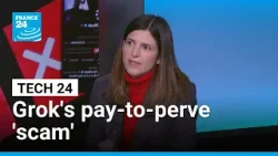 'It's a scam': French AI ambassador on X making Grok chatbot pay-to-perve • FRANCE 24 English
