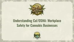 Understanding CalOSHA - Workplace Safety for Cannabis Business