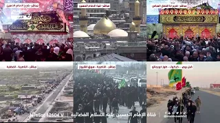 إحياء ذكرى شهادة الإمام الحسن المجتبى عليه السلام بين زوار الامام الحسين عليه السلام، مع الاء طاهر