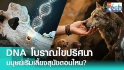 DNA เผยความลับ มนุษย์กับ “สุนัข” เป็น “เพื่อนซี้” กันมานานกว่า 15,000 ปี | TNN Tech Report