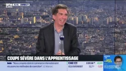 Grande interview - Bruno Coquet et Bertrand Martinot : coupe sévère dans l'apprentissage