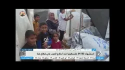 همزة وصل 2024/4/23 .. الحرب على غزة تدخل يومها ال200 .. نزوح ومجاعة ومستشفيات خارج الخدمة