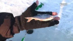 Тонка крига та зимовий азарт: як безпечно рибалити на водоймах Рівненщини