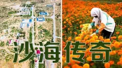 这是中国唯一被两大沙漠三面包围的西部城市,曾被预言会成为第二个“死亡之海”,如今怎么样了?| LIVE NOW 这是中国唯一被两大沙漠三面包围的西部城市,曾被预言会成为第二个“死亡之海”,如今怎么样了?| LIVE NOW