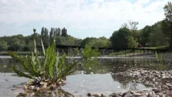 TERMÉSZETVÉDELEM HATÁROK NÉLKÜL (2025. december 27.) 100. adás TERMÉSZETVÉDELEM HATÁROK NÉLKÜL (2025. december 27.) 100. adás