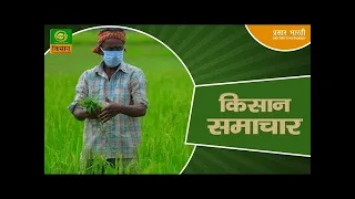 Kisan Samachar: Latest News of Agriculture | DD Kisan | 29/08/2026