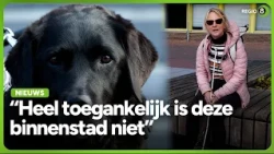 Studenten zoeken naar obstakels in Doetinchem: 'De binnenstad is niet heel toegankelijk'