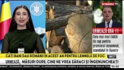 De unde pot cumpăra românii lemne de foc de la Romsilva. Cât costă metrul cub în 2026