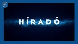 DSTV | 2026. október 15. Híradó