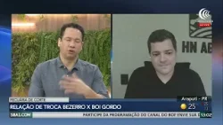 Arroba do boi gordo sobe em fevereiro com oferta mais ajustada Arroba do boi gordo sobe em fevereiro com oferta mais ajustada