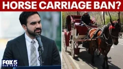 NYC horse carriage ban could be on the way