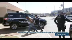 Animais, fios, celulares, bancos: Plenário aprova mudanças no Código Penal