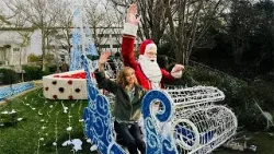 Art Zone rings in the holidays with standout stories of 2025