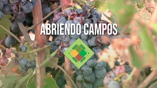 Abriendo Campos - 3 de septiembre de 2026 - 1ª Parte
