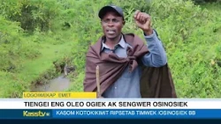 Ogiek and Sengwer wisdom, cultural songs, and traditions: Keeping our forests alive.