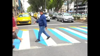 In Loja, many drivers disregard crosswalks reserved for pedestrians