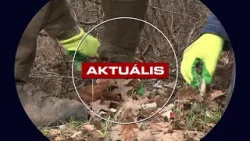 Erdőtakarítás – szemetet szedtek és madárodúkat takarítottak - Aktuális 2026.03.20