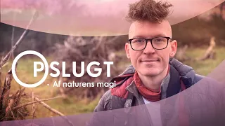 Opslugt af naturens magi