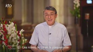 Les roses, le lys et la pâquerette