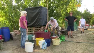 Béke, nyugalom és a kertészkedés öröme - nagy a sürgés-forgás a Kámoni Arborétum szomszédságában