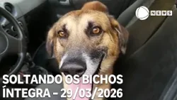 Soltando os Bichos - 29/03/2026