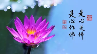 淨空老法師｜大經專修（二）｜佛來接引的時間，一分一秒都不會差錯-第0142集